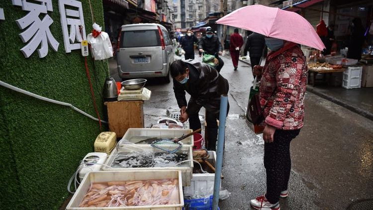 Russia bans import of exotic animals from China until March 1