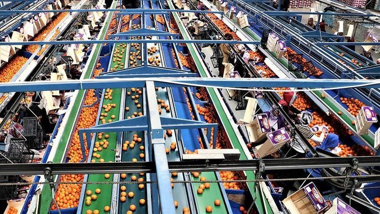 Russia may buy Turkish food products replacing China’s