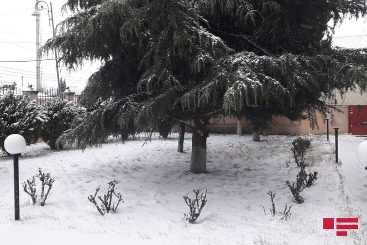 Height of snow cover reaches 43 cm, temperature drops to -15 °C in northern region of Azerbaijan - PHOTO