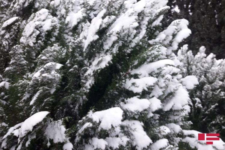 MENR discloses actual weather conditions in Azerbaijan
