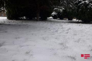 Height of snow cover reaches 43 cm, temperature drops to -15 °C in northern region of Azerbaijan - PHOTO