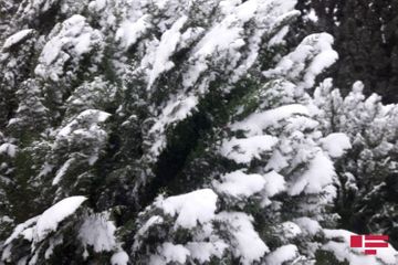 Height of snow cover reaches 43 cm, temperature drops to -15 °C in northern region of Azerbaijan - PHOTO