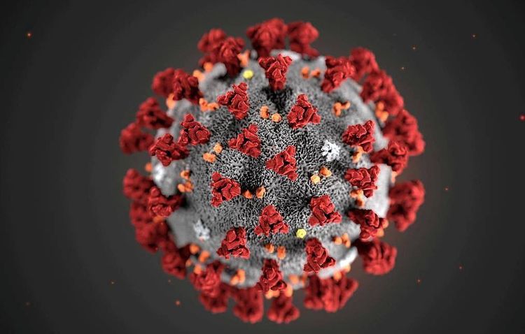 Global WHO forum on coronavirus to open in Geneva