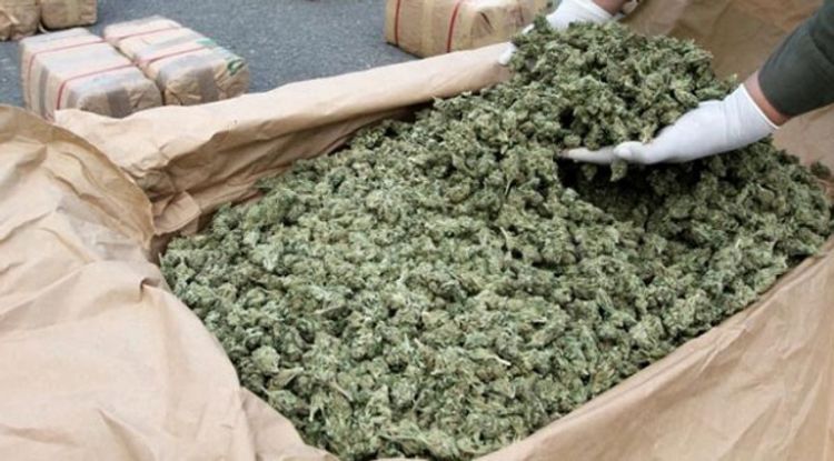  Turkey seizes record 2 tons of marijuana at border crossing with Bulgaria