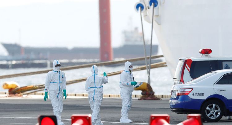 Total of 44 new cases of coronavirus registered on Diamond Princess, says Japanese Minister