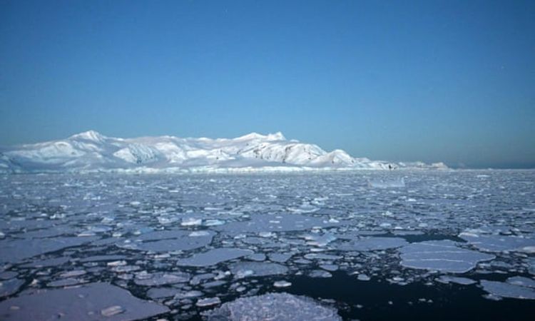 Antarctic temperature rises above 20C for first time on record