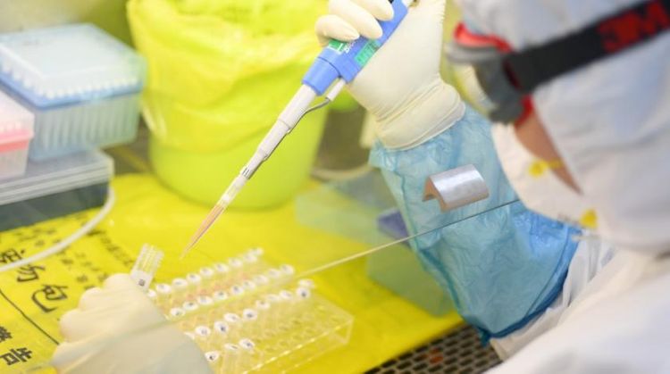 Egypt confirms first coronavirus case, says affected person is a foreigner