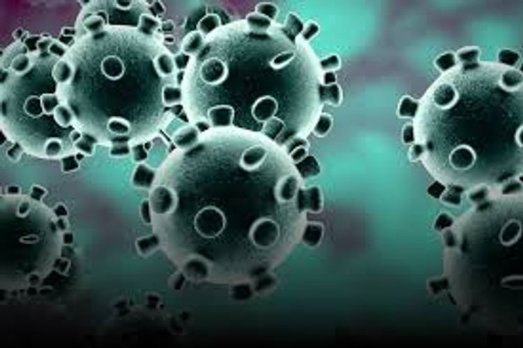 Fight against coronavirus in Hubei reaches its peak, 25,600 doctors mobilized