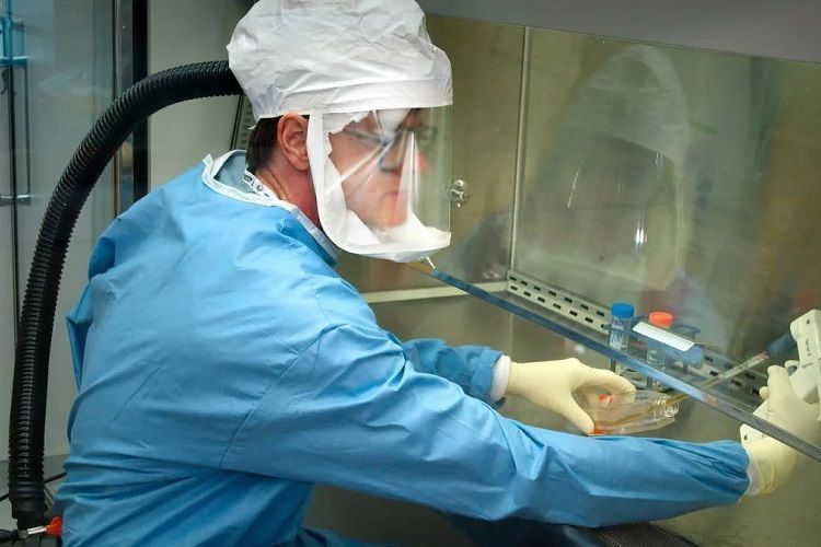 Iran says WHO sends equipment to test COVID-19