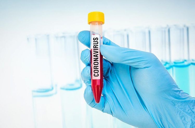 Afghanistan and Bahrain identify first confirmed coronavirus patient