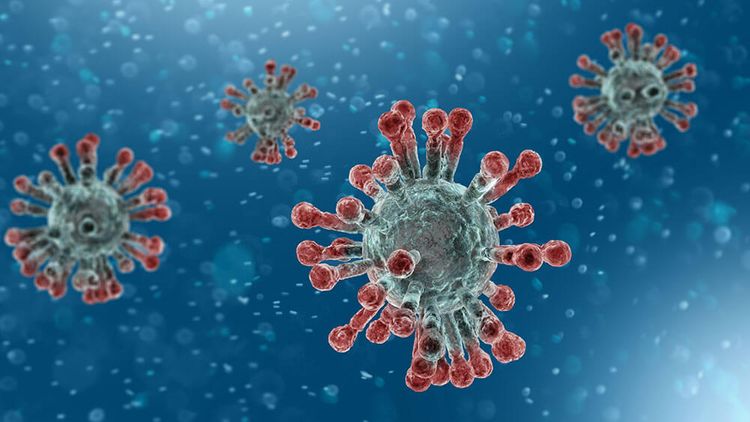 Turkey: No coronavirus case confirmed so far