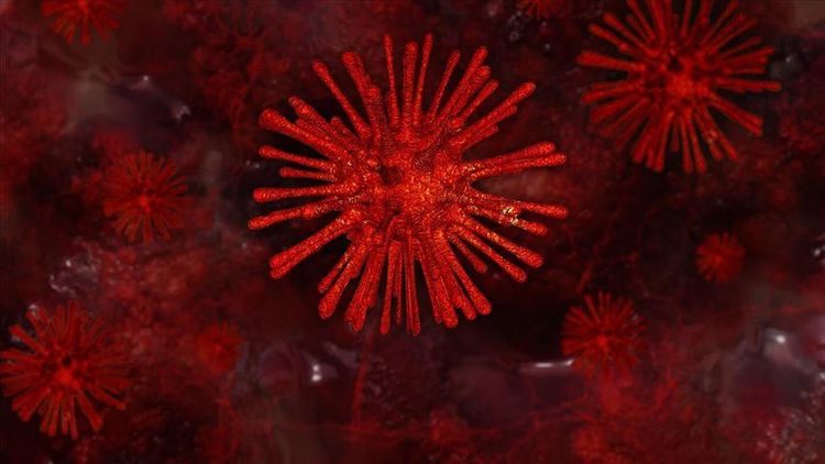 Bahrain confirms 3 new cases of novel coronavirus
