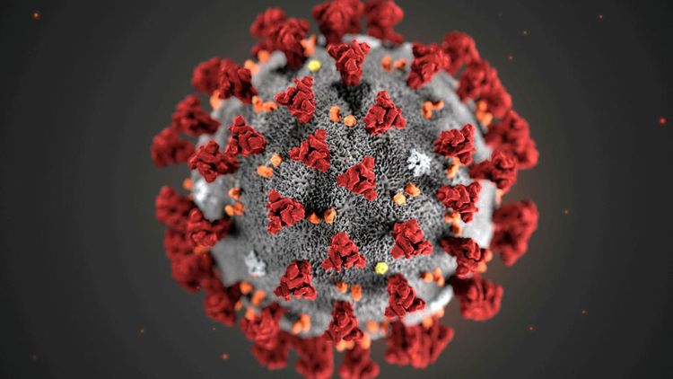 Nigeria confirms first coronavirus case in Sub-Saharan Africa