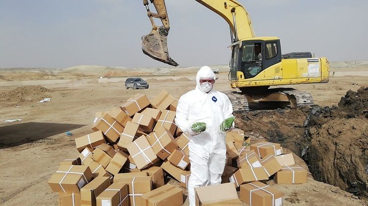 1500 kg of dried kiwi imported from China destroyed 