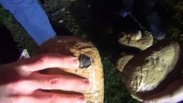 Person smuggling 10 kg of opium from Iran to Azerbaijan detained