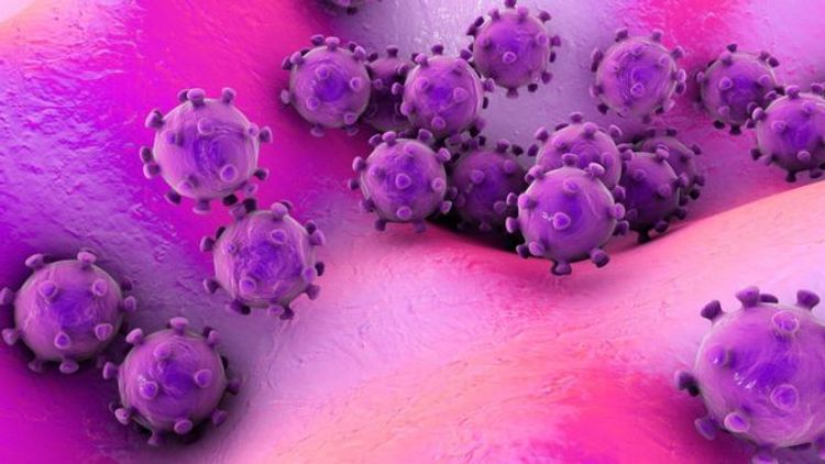 New Chinese virus 'will have infected hundreds'