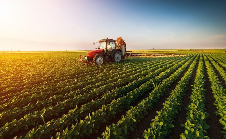 Agricultural production in Azerbaijan increased by more than 7% last year