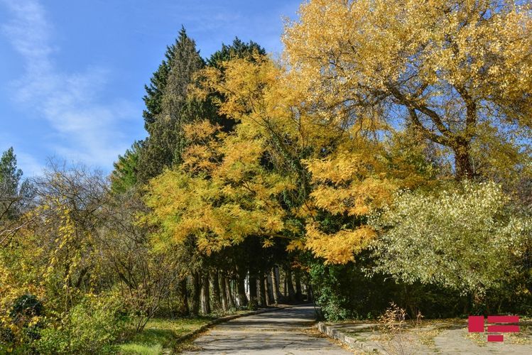 Dry weather forecasted for tomorrow in Azerbaijan
