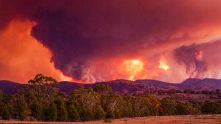 State of emergency declared in Australian capital