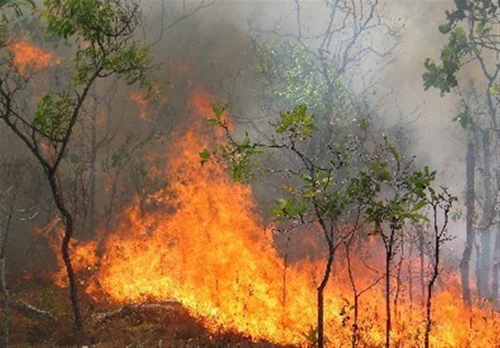 40 people arrested in connection with wild fires occurred in Iran   