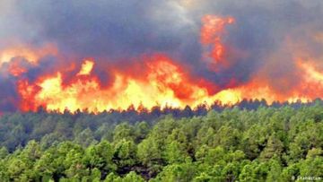 40 people arrested in connection with wild fires occurred in Iran   