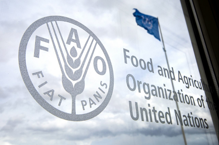 U.N.: World food price index rises in June, first increase in 2020