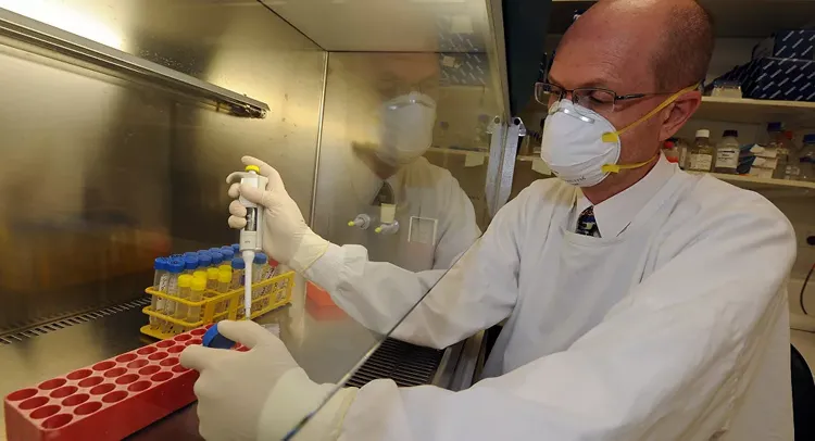 Chinese Agriculture Ministry says new strain of swine flu unlikely to grow into outbreak