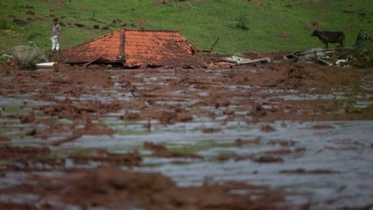 UN warns: More outbreaks if we keep exploiting wildlife