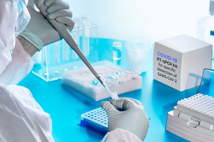 Number of confirmed COVID-19 cases in India surpasses 760,000