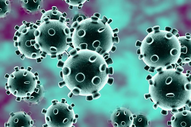 Panama gets $400 million loan for its strategy against coronavirus