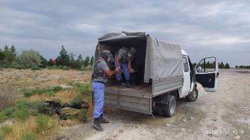 13 pieces of missiles for antiaircraft artillery cannons found under bridge in Azerbaijan’s Khyzy region - PHOTO