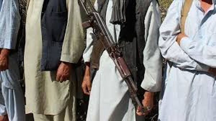 Taliban reject int'l calls for cease-fire