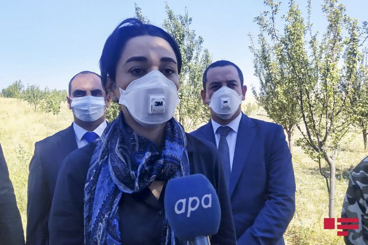 Ombudsman: Armenia flagrantly violates the Geneva Convention by shelling civilians