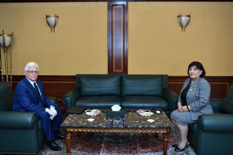 Speaker of Azerbaijan's Milli Majlis receives Russian ambassador to Baku