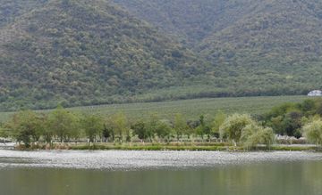 Azerbaijani President viewed “Bal meyvə” gardening in Balakan
