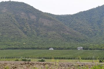 Azerbaijani President viewed “Bal meyvə” gardening in Balakan
