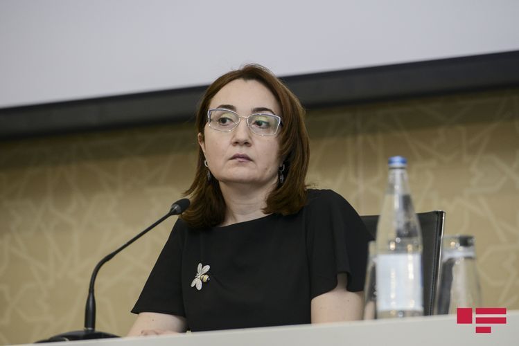 Opening of beaches in Azerbaijan is discussed 