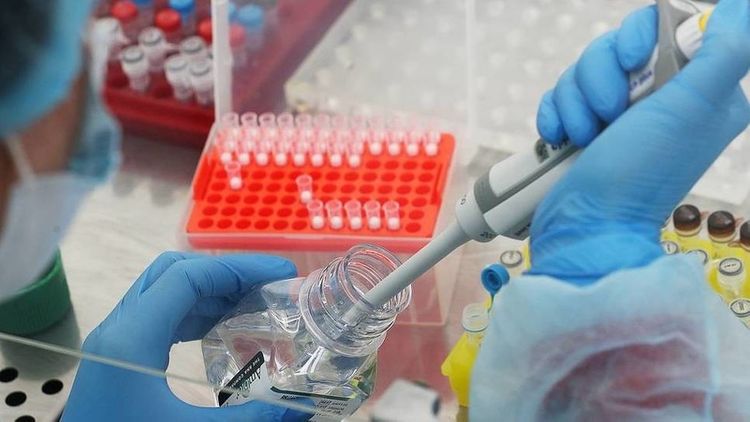 Uzbekistan reports 40 new COVID-19 cases