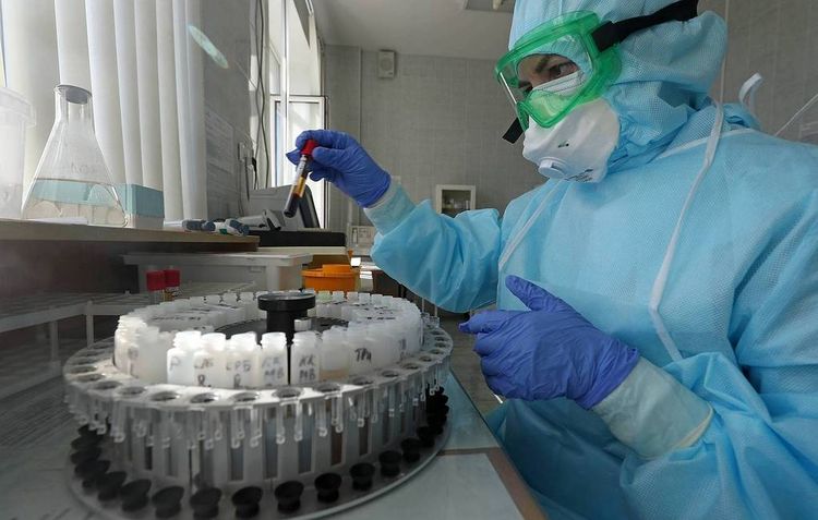 Brazil's coronavirus death toll nears 30,000