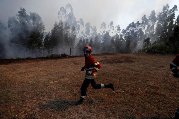 High risk of widespread wildfires across Europe this year, EU says