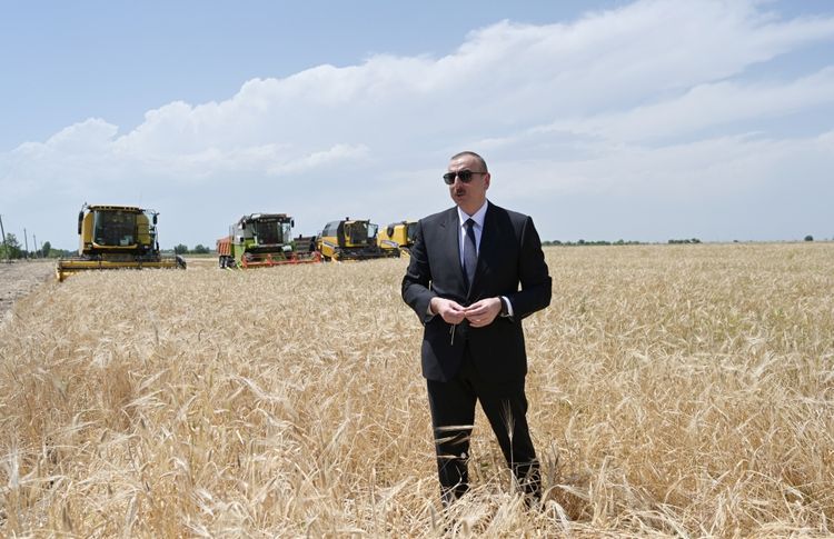 President Ilham Aliyev attended ceremony to start grain harvest in Aghjabadi