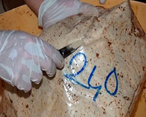 Azerbaijani customs officers prevented an attempt to send 0.5 ton of heroin from Iran to Ukraine by passing through Azerbaijan