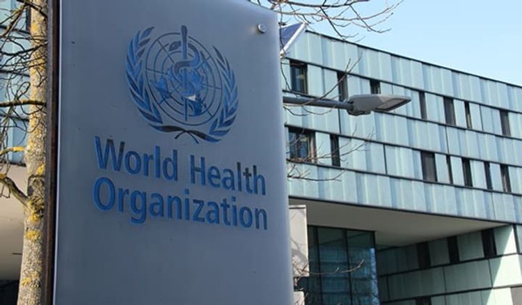 Brazilian president threatens to quit World Health Organization