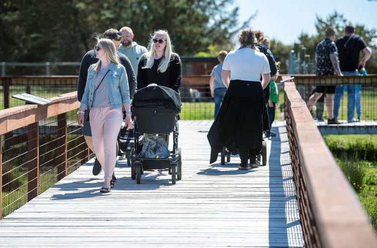 Denmark lifts limit on public gatherings to 50 people from 10