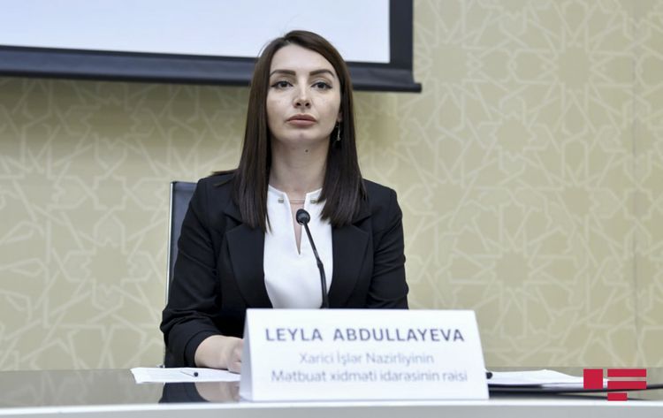 MFA Spokesperson: “Ministry appealed SSS for investigation of smear campaign”