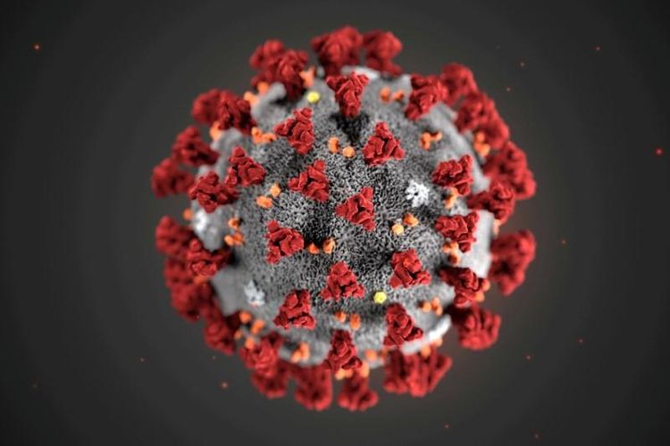 Novel coronavirus may have been spreading in China in August, Harvard research indicates