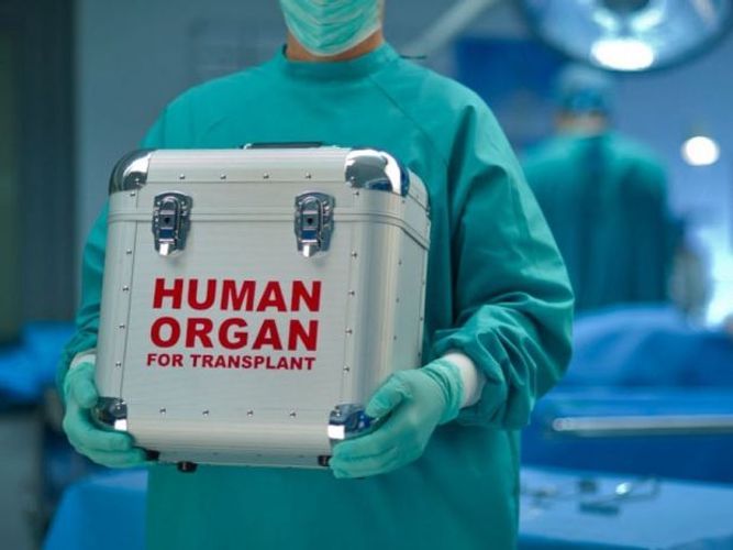 299 transplantation operations conducted in Azerbaijan last year
