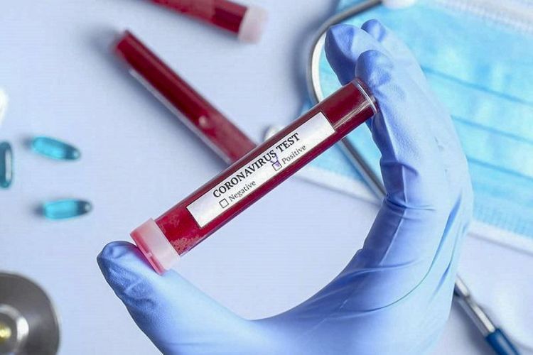 Coronavirus cases in Africa surpass 215,000