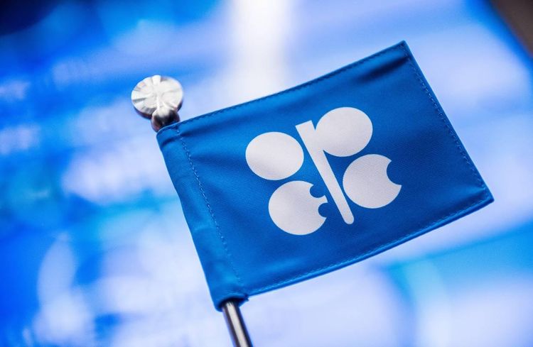 OPEC+ Monitoring Committee plans to meet on July 15 after June meeting