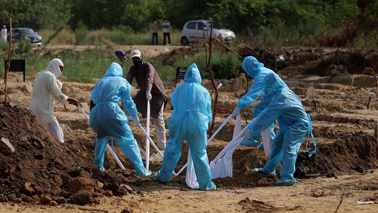 India sees record 11,458 COVID-19 cases in one day